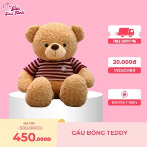 Gấu Bông Teddy